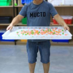 Сушильный лоток пластиковый с вентиляцией для фруктов и овощей (арт. 26-1200194)