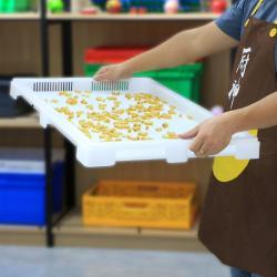 Лотки пластиковые вентиляционные пищевые для сушки конфет (арт. 26-1200196)