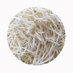 Замороженные пророщенные бобы мунг IQF зеленые (арт. 26-1302025)