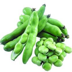 Фасоль замороженная целая зеленая 10кг для приготовления (арт. 26-1302037)