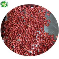 Фасоль красная замороженная XMSD IQF 10кг (арт. 26-1302039)