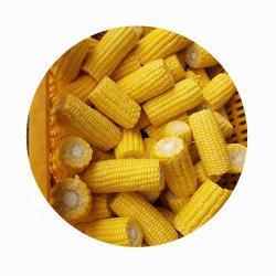 Кукуруза замороженная сладкая iqf для приготовления (арт. 26-1302049)