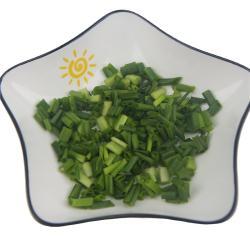 Лук весенний замороженный резаный 10 кг для кулинарии (арт. 26-1302058)