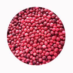 Клюква замороженная IQF OEM для частных марок (арт. 26-1302066)