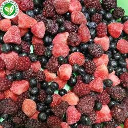 Замороженные ягоды ежевики для экспорта в европу (арт. 26-1302088)