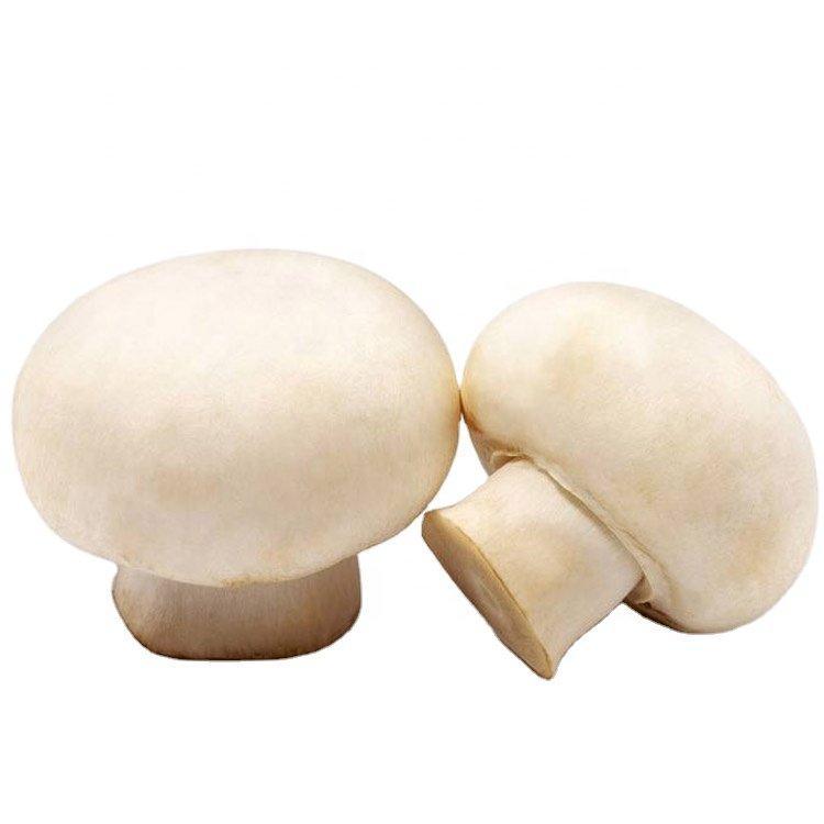 Шампиньоны белые замороженные целые органические (арт. 26-1302099)