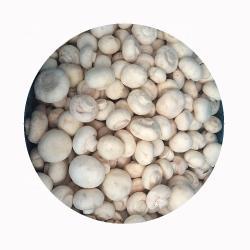 Грибы шампиньоны белые замороженные целые бланшированные (арт. 26-1302100)