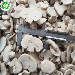 Грибы шампиньоны замороженные белые для посадки (арт. 26-1302101)