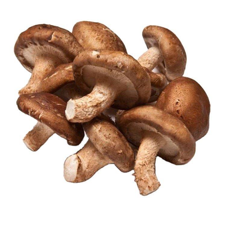 Грибы шиитаке замороженные органические 1кг для кулинарии (арт. 26-1302105)