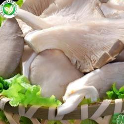 Грибы вешенки замороженные IQF свежие для приготовления (арт. 26-1302108)