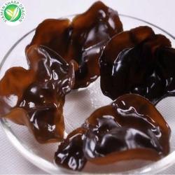 Грибы замороженные IQF белые нарезанные для кулинарии (арт. 26-1302130)