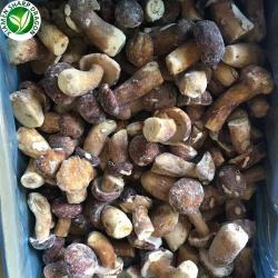 Грибы замороженные органические белые IQF (арт. 26-1302134)