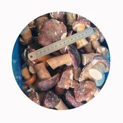 Грибы замороженные белые для выращивания (арт. 26-1302136)