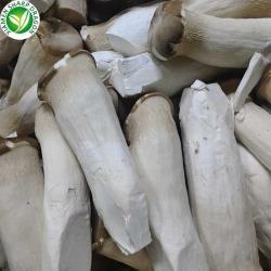 Грибы королевские вешенки замороженные органические ломтики (арт. 26-1302139)