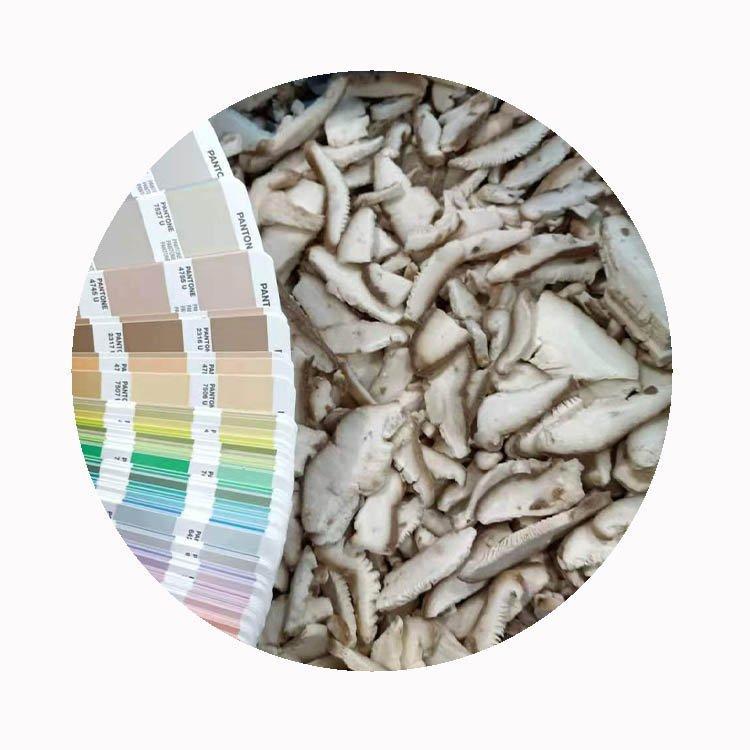 Грибы шиитаке замороженные целые нарезанные кубиками (арт. 26-1302140)