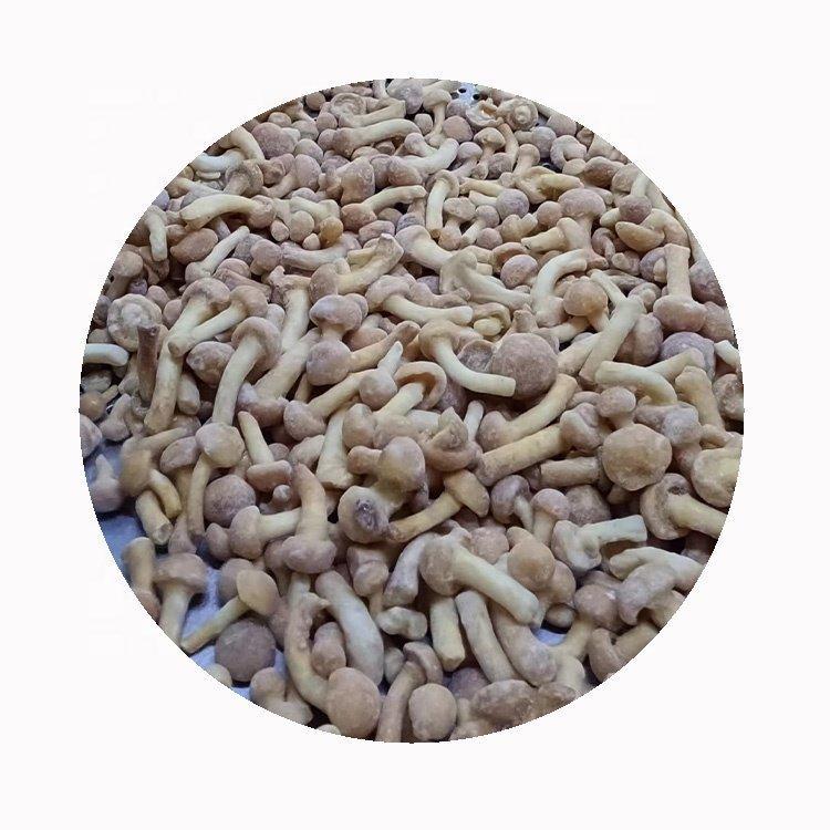 Грибы замороженные фолиота намеко IQF (арт. 26-1302143)