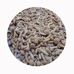 Грибы замороженные фолиота намеко IQF (арт. 26-1302143)