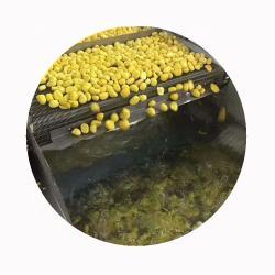 Органические каштаны китайские очищенные готовые к употреблению (арт. 26-1302146)