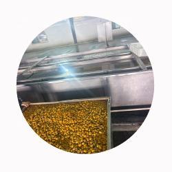 Органические каштаны китайские очищенные готовые к употреблению (арт. 26-1302146)