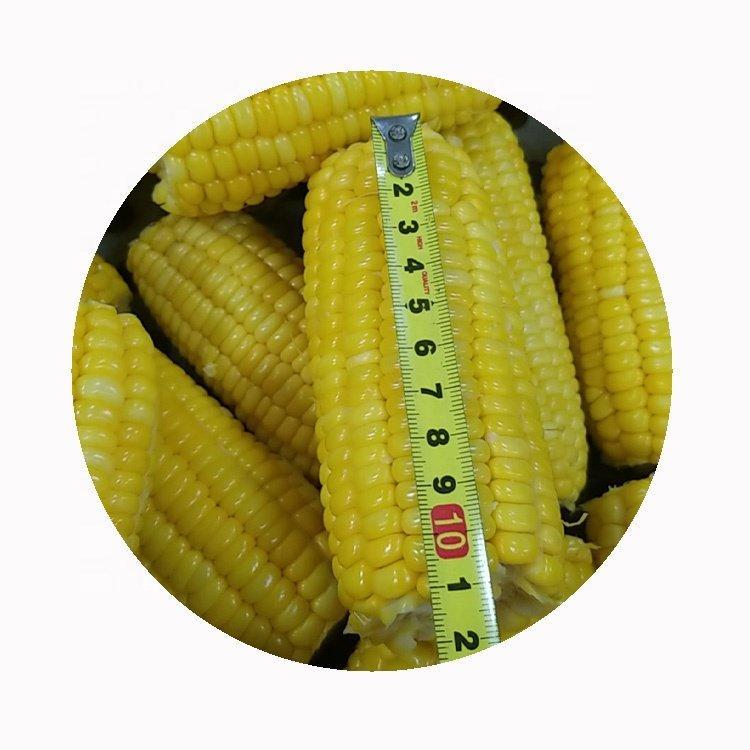Кукуруза замороженная органическая початки для приготовления (арт. 26-1302153)