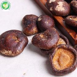 Закуска грибы вакуумная здоровая (арт. 26-1302165)