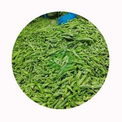 Замороженная стручковая фасоль IQF свежая и питательная (арт. 26-1302184)