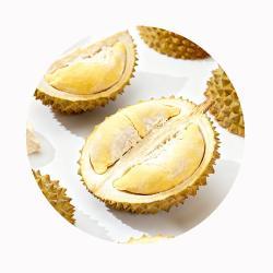 Лиофилизированный дуриан с сертификацией для экспорта (арт. 26-1302203)