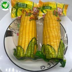 Кукуруза в початках вакуумная для быстрого употребления (арт. 26-1302250)