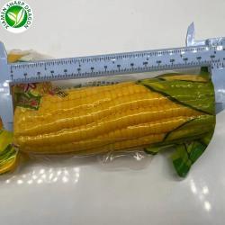 Закуска из кукурузы вакуумная без ГМО для быстрого употребления (арт. 26-1302251)