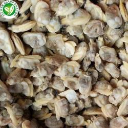 Мясо моллюска вареное замороженное IQF для кулинарии (арт. 26-1302267)