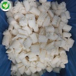 Кольца кальмара замороженные ананасовые для морепродуктов (арт. 26-1302272)