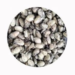 Мясо устрицы замороженное IQF для морепродуктов (арт. 26-1302285)