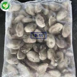 Мясо устриц замороженное IQF пресноводное из китая (арт. 26-1302286)