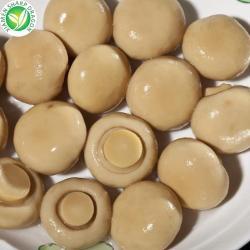 Консервы пищевые съедобные 3 года хранения (арт. 26-1302302)