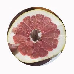 Грейпфрут помело свежий 10 кг класс 1 (арт. 26-1302309)