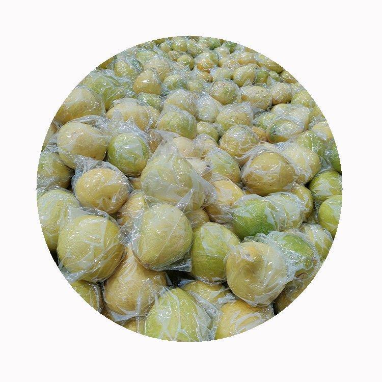 Помело свежий медовый контейнерный (арт. 26-1302330)