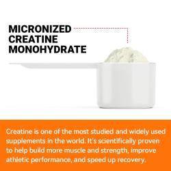 Креатин моногидрат порошок микронизированный для мышц и восстановления (арт. 26-1002014)