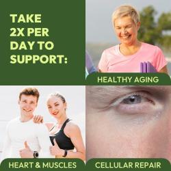 Капсулы липосомальные NAD+ ресвератрол для кожи и иммунитета (арт. 26-1002113)