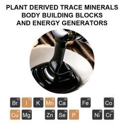 Капсулы с гималайской смолой шиладжит и фульвокислотой для иммунитета (арт. 26-1002200)