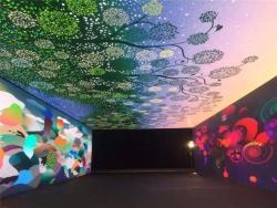 Экран LED 4K P1.56 для помещений (арт. 26-2002026)