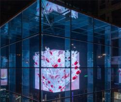 Экран LED прозрачный P3.91-7.81 для рекламы (арт. 26-2002197)