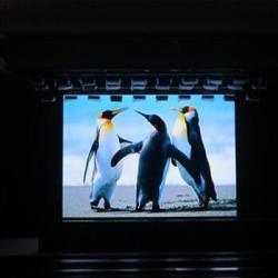 Дисплей LED для аренды, полноцветный, P1.95-P3.91 (арт. 26-2002228)